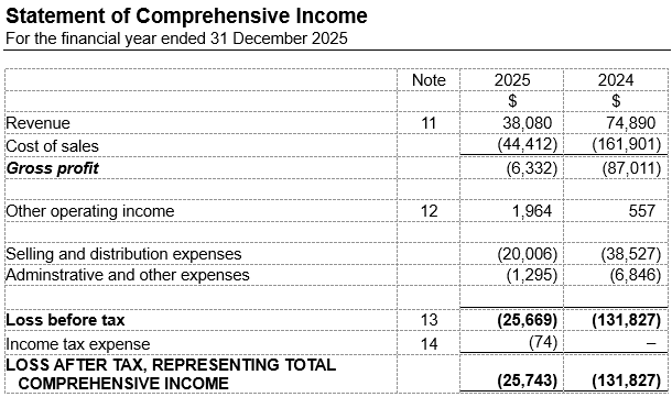 Statement of Comprehensive Income presented by function