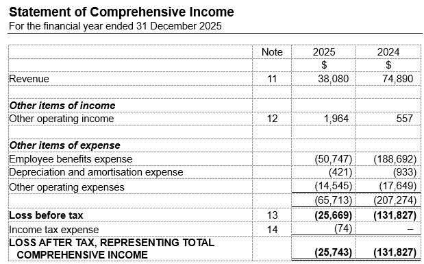 Statement of Comprehensive Income presented by nature